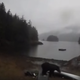 Image for article titled Woman Learns the Hard Way That Screaming 'Bear, Stop!' Doesn't Work on a Bear